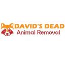 David's Dead Possum Removal Hobart logo